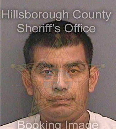 Lopeztambriz Diego - Hillsborough County, FL 