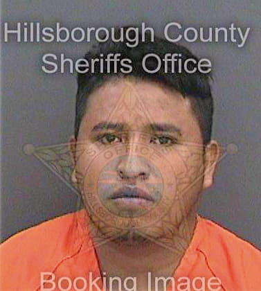 Hernandezramirez Moises - Hillsborough County, FL 