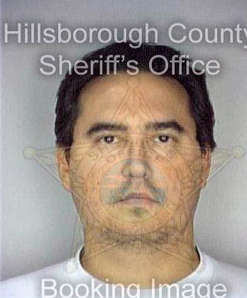 Martin Daniel - Hillsborough County, FL 