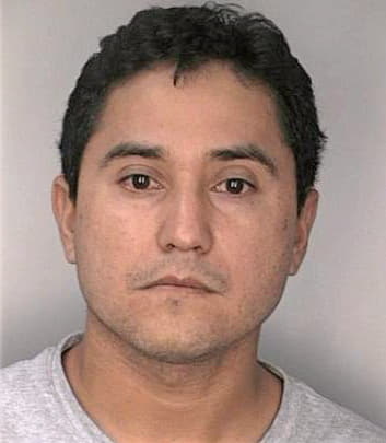 Enriquezrodriguez Felix - Hillsborough County, FL 