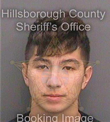 Phillips Justin - Hillsborough County, FL 