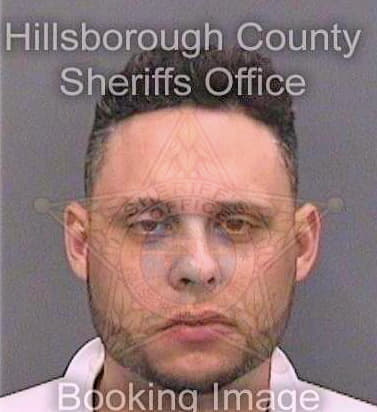 Diaz Manuel - Hillsborough County, FL 