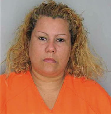 Gonzalez Vivian - Hillsborough County, FL 