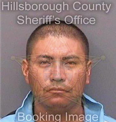 Jaimes Demetrio - Hillsborough County, FL 