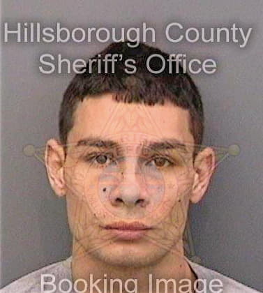 Barriosabril Wilber - Hillsborough County, FL 