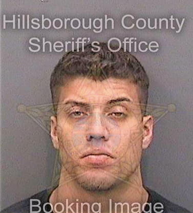 Diaz Christopher - Hillsborough County, FL 