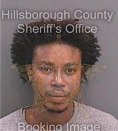 Lewin Brian - Hillsborough County, FL 