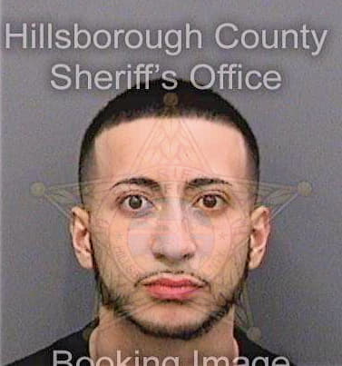 Sanchez Raul - Hillsborough County, FL 