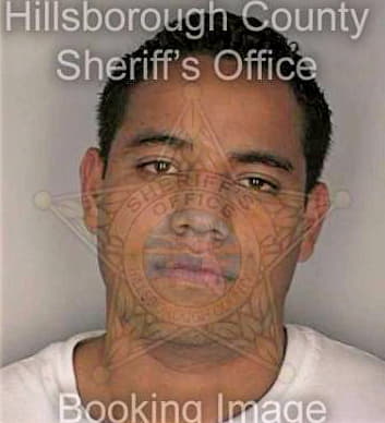 Tijerino Nery - Hillsborough County, FL 