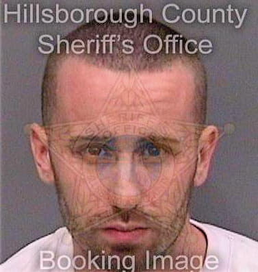 Carrigan Steven - Hillsborough County, FL 