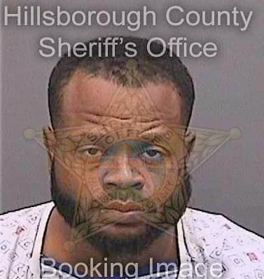 Ford George - Hillsborough County, FL 