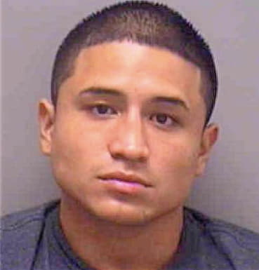 Rivas Henry - Lee County, FL 