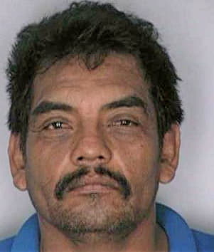 Mendozatorres Aurelio - Hillsborough County, FL 