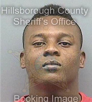 Lewis Reginald - Hillsborough County, FL 