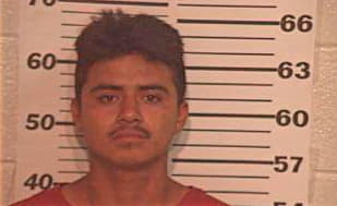 Ramirez Jose - Hidalgo County, TX 