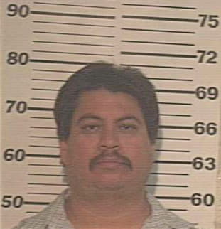 Mireles Luis - Hidalgo County, TX 