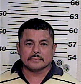 Hernandez Efren - Hidalgo County, TX 