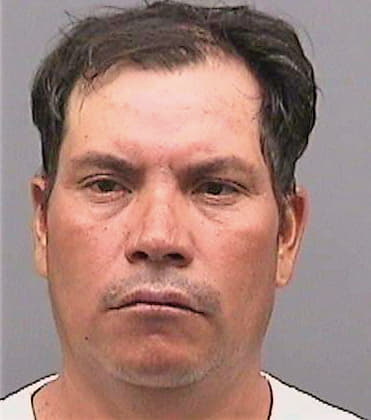 Hernandezescobar Angel - Hillsborough County, FL 