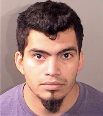 Ramos-Avila Maynor - Denton County, TX 