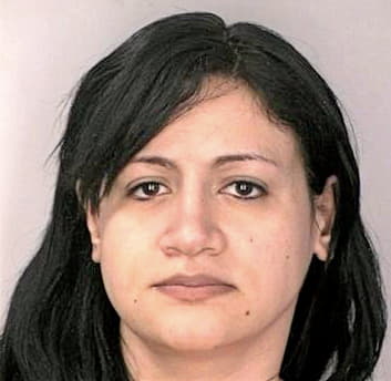 Natal Nancy - Hillsborough County, FL 