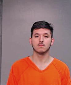 Garcia Luis - Hidalgo County, TX 