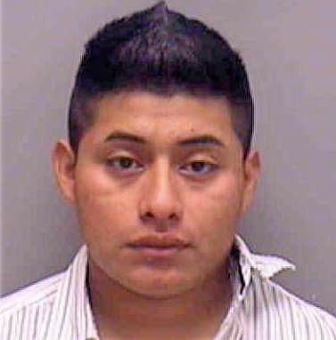 Mendoza-Perez Pascual - Lee County, FL 