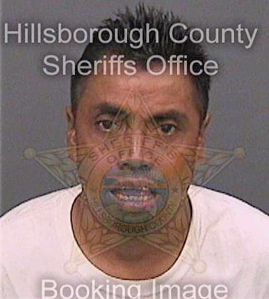 Martingodinez Santos - Hillsborough County, FL 