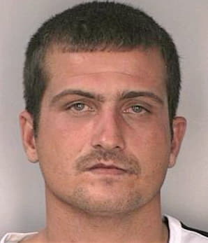 Rollins Chad - Hillsborough County, FL 