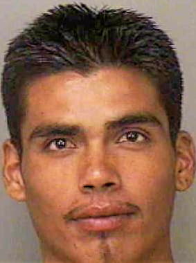Perez Fermin - Polk County, FL 