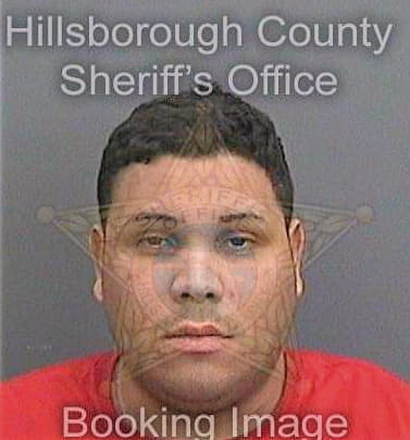 Restocruz Jose - Hillsborough County, FL 