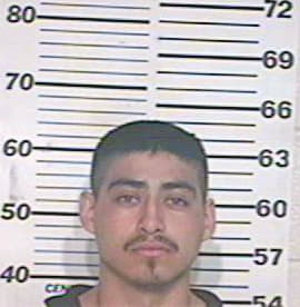 Carbajal Marcos - Hidalgo County, TX 