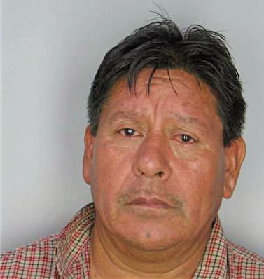 Medellin Margarito - Hillsborough County, FL 