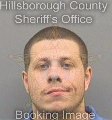 Mendez Raymond - Hillsborough County, FL 