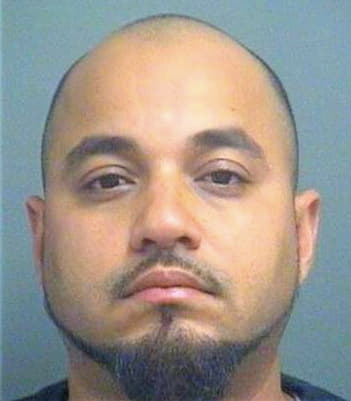 Diaz Tonny - PalmBeach County, FL 