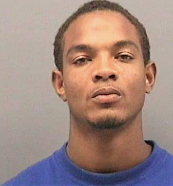 Williams Vincent - Hillsborough County, FL 