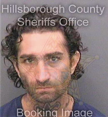 Primeaux David - Hillsborough County, FL 