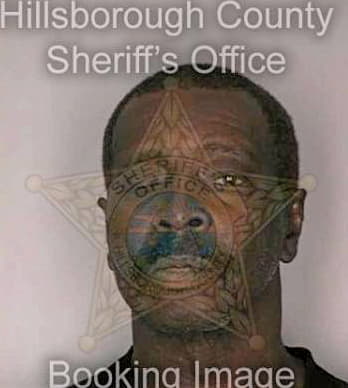 Lewis Henry - Hillsborough County, FL 