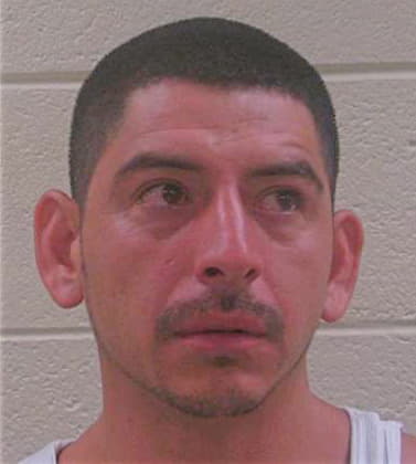 Pineda Jose - Pickens County, GA 