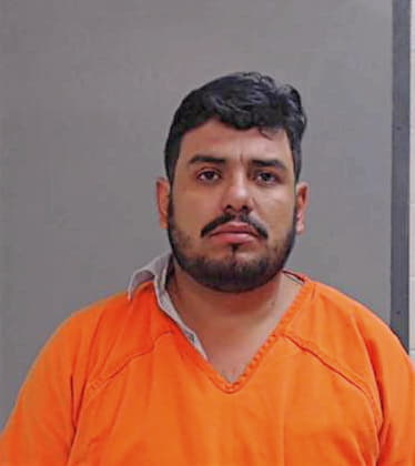 Sanchez-Cepeda Luis - Hidalgo County, TX 