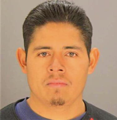 Martinezrivas Pascual - Dallas County, TX 