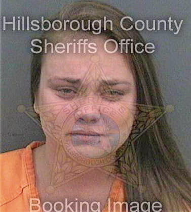 Daniel Brittany - Hillsborough County, FL 