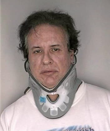 Perez Daniel - Hillsborough County, FL 