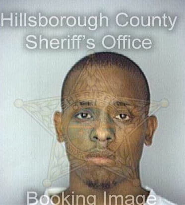 Lewis Derek - Hillsborough County, FL 
