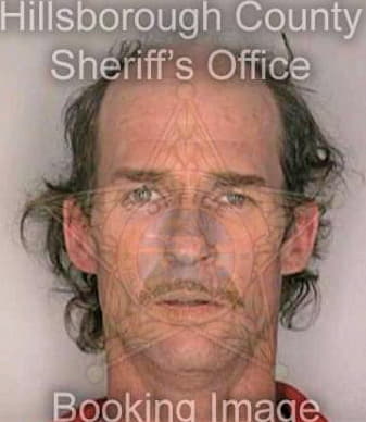 Taylor Michael - Hillsborough County, FL 