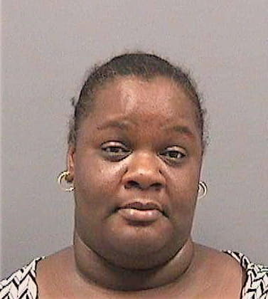 Johnson Tameka - Hillsborough County, FL 