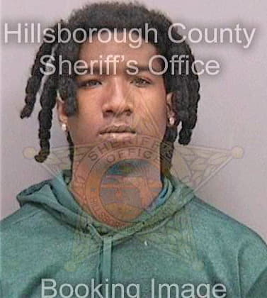 Council Damion - Hillsborough County, FL 