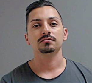 Avila Luis - Hidalgo County, TX 