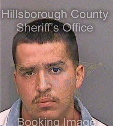 Davila Miguel - Hillsborough County, FL 