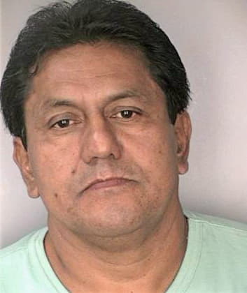 Toala Winston - Hillsborough County, FL 