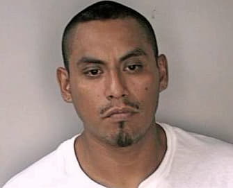 Garciasanchez Alfredo - Hillsborough County, FL 